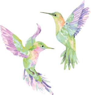 A imagem mostra dois beija-flores um de frente para o outro.